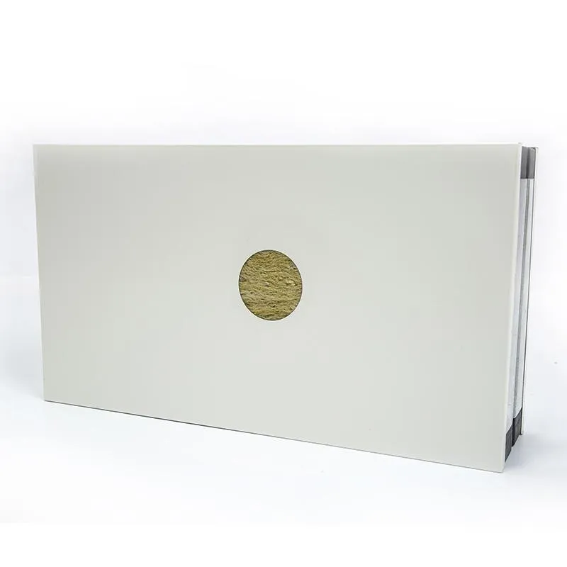 Rockwool cleanroom panel
