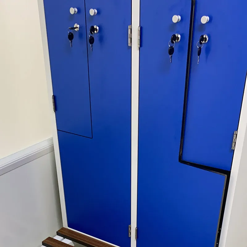 Laboratory cabinet